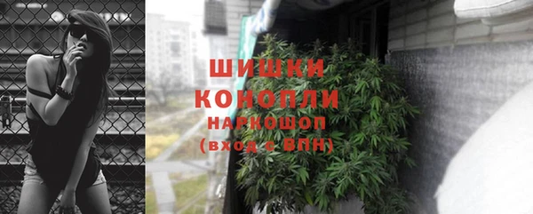 прущие грибы Белоозёрский