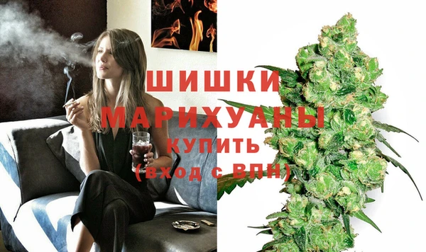 прущие грибы Белоозёрский