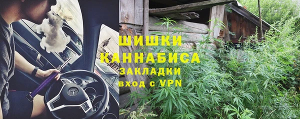 прущие грибы Белоозёрский