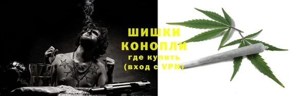 прущие грибы Белоозёрский