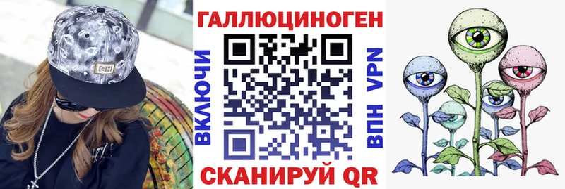 сколько стоит  Кочубеевское  Псилоцибиновые грибы GOLDEN TEACHER 